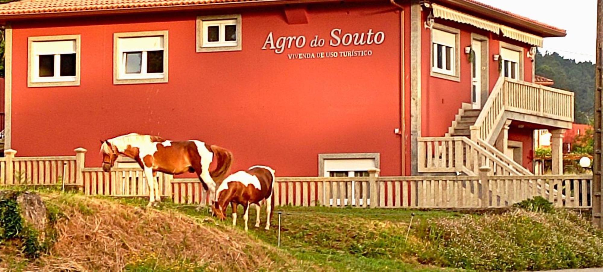 Agro Do Souto, Noia - Villa Completa Exterior photo